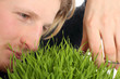 Trimming the lawn
