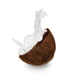 Coconut with milk splash, isolated on white background