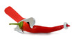 red chili peppers