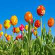 Ostergrüße, Frohe Ostern, Fotomontage, Tulpen, Ostereier