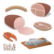 Fish and meat illustration collection