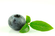 Blaubeere