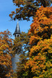 Photo en ligne au meilleur prix pointe d'automne
