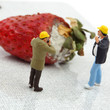 faule erdbeeren #5