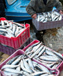boxes with fish
