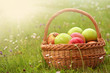 sunny fruit