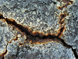 Lave, volcan Etna, Sicile Lave, volcan Etna, Sicile