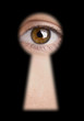 Peeking Through the Keyhole