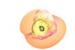 Ranunculus