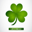 Shamrock Leaf Vector