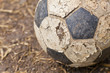 The left old ball
