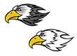 Falcon mascot