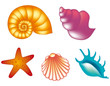 Sellfishes