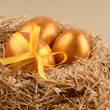 Golden eggs in the nest Golden eggs in the nest