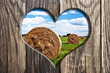 Landwirtschaft