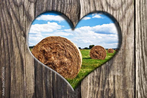 Photo: Landwirtschaft Landwirtschaft