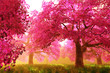 Illustration: Mysterious Cherry Blossom Trees Mysterious Cherry Blossom Trees