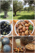 La Provence - Tradition provençale