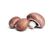 Champignons