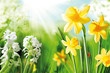 Cheerful Spring Bulbs