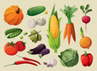 Vector: A set of delicious vegetables. A set of delicious vegetables.