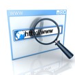 Detalii fotografie Search web-page