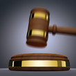 Adjudicate