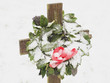 grave