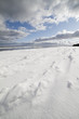 Snowy sea coast.
