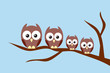 Owl family sitting on a tree branch