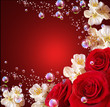 Roses and white flowers Roses and white flowers