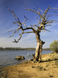reservoir