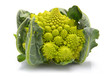 Romanesco broccoli cabbage isolated