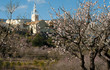 Parcent village