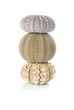 Three beautiful sea urchins balancing on a white background.
