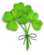 Shamrocks