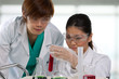 Photo: Two scientists analyzing solution. Two scientists analyzing solution.