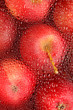 background with fresh red apples background with fresh red apples