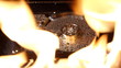 Video: Hard disk on fire Hard disk on fire