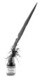 plume et flacon d'encre noire