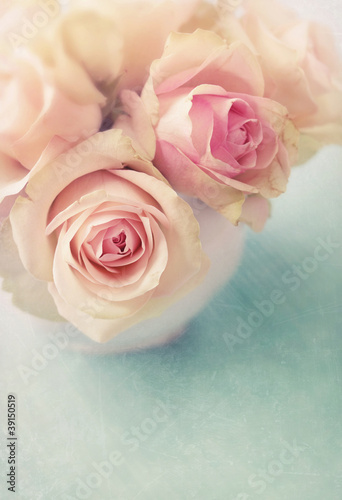 Photo: White roses White roses