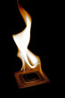 burning processor