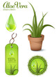 Aloe Vera, design elements