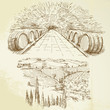 vineyard - hand drawn set
