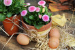 Osterdeko im Garten