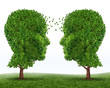 Growth And Communication