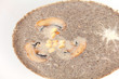 mushroom cream soup