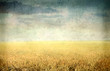Country vintage