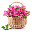 bouquet of pink roses in basket isolated on white background