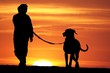 Sunrise  Dog Walk